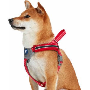 Blueberry Pet Reflective Back to Basics No Pull Dog Harness Vest, Rouge Red, Medium: 21.5 to 26.75-in chest