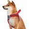 Show in main carousel: Blueberry Pet Reflective Back to Basics No Pull Dog Harness Vest, Rouge Red, Medium: 21.5 to 26.75-in chest slide 1 of 5