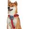 Show in main carousel: Blueberry Pet Reflective Back to Basics No Pull Dog Harness Vest, Rouge Red, Medium: 21.5 to 26.75-in chest slide 2 of 5
