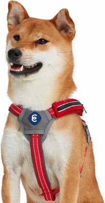Show full view: Blueberry Pet Reflective Back to Basics No Pull Dog Harness Vest, Rouge Red, Medium: 21.5 to 26.75-in chest slide 2 of 5