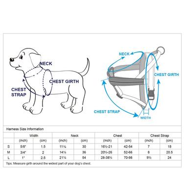 Show full view: Blueberry Pet Reflective Back to Basics No Pull Dog Harness Vest, Rouge Red, Medium: 21.5 to 26.75-in chest slide 5 of 5