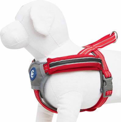 Show full view: Blueberry Pet Reflective Back to Basics No Pull Dog Harness Vest, Rouge Red, Medium: 21.5 to 26.75-in chest slide 3 of 5
