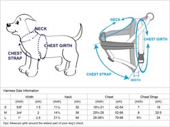 Blueberry Pet Reflective Back to Basics No Pull Dog Harness Vest, Rouge Red, Small: 16.5 to 21-in chest slide 2 of 5