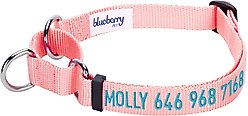 Blueberry Pet Safety Training Personalized Martingale Dog Collar, Baby Pink, Medium: 14.5 to 20-in neck 3/4-in wide