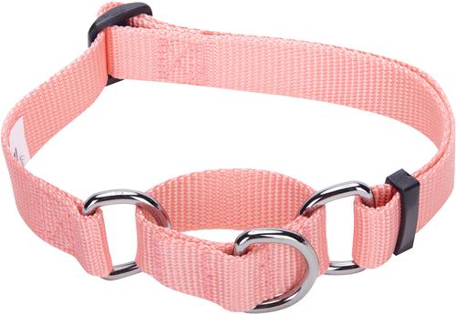 Show full view: Blueberry Pet Safety Training Personalized Martingale Dog Collar, Baby Pink, Medium: 14.5 to 20-in neck 3/4-in wide slide 3 of 7