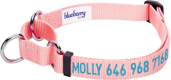 Show full view: Blueberry Pet Safety Training Personalized Martingale Dog Collar, Baby Pink, Small: 12 to 16-in neck, 5/8-in wide slide 1 of 6