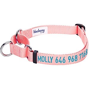Blueberry Pet Safety Training Personalized Martingale Dog Collar, Baby Pink, Small: 12 to 16-in neck, 5/8-in wide
