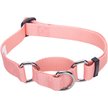 Show in main carousel: Blueberry Pet Safety Training Personalized Martingale Dog Collar, Baby Pink, Small: 12 to 16-in neck, 5/8-in wide slide 2 of 6