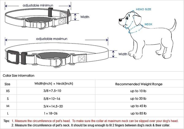 Show full view: Blueberry Pet Safety Training Personalized Martingale Dog Collar, Baby Pink, Small: 12 to 16-in neck, 5/8-in wide slide 4 of 6