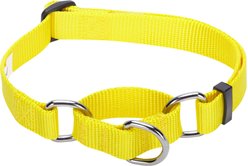 Blueberry Pet Safety Training Personalized Martingale Dog Collar, Blazing Yellow, Large: 18 to 26-in neck, 1-in wide slide 2 of 5