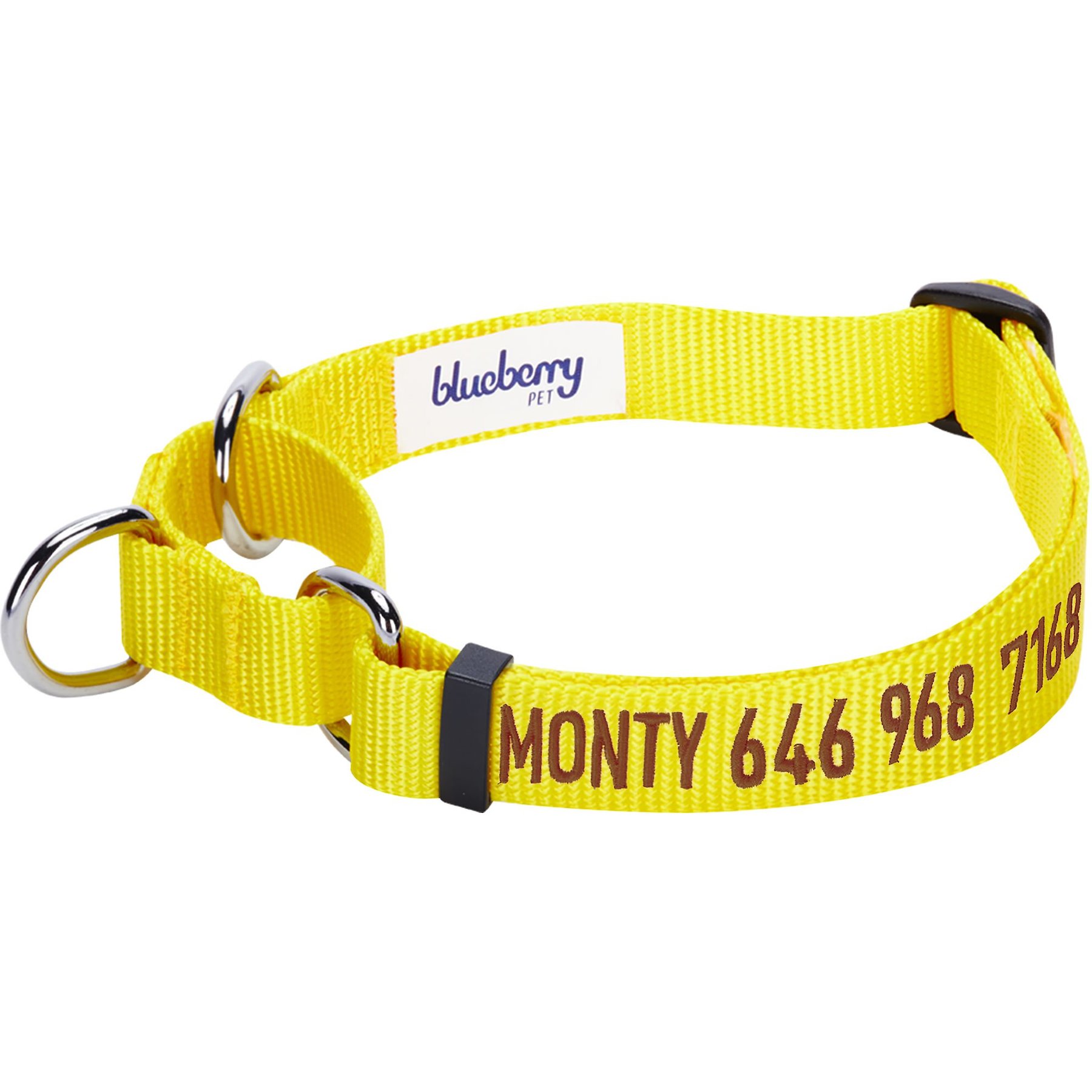 Blueberry Pet Safety Training Personalized Martingale Dog Collar, Blazing Yellow, Medium: 14.5 to 20-in neck 3/4-in wide