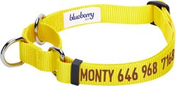 Blueberry Pet Safety Training Personalized Martingale Dog Collar, Blazing Yellow, Small: 12 to 16-in neck, 5/8-in wide