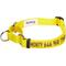 Show in main carousel: Blueberry Pet Safety Training Personalized Martingale Dog Collar, Blazing Yellow, Small: 12 to 16-in neck, 5/8-in wide slide 1 of 6