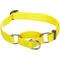 Show in main carousel: Blueberry Pet Safety Training Personalized Martingale Dog Collar, Blazing Yellow, Small: 12 to 16-in neck, 5/8-in wide slide 2 of 6