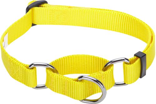 Show full view: Blueberry Pet Safety Training Personalized Martingale Dog Collar, Blazing Yellow, Small: 12 to 16-in neck, 5/8-in wide slide 2 of 6