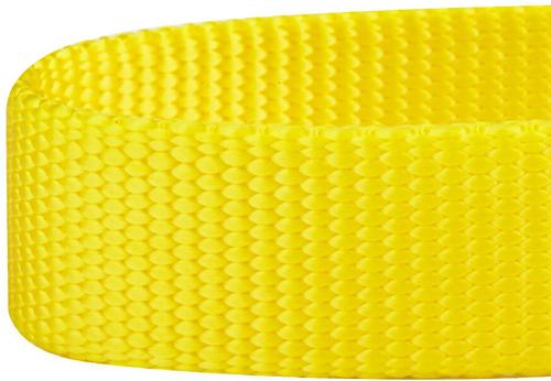 Show full view: Blueberry Pet Safety Training Personalized Martingale Dog Collar, Blazing Yellow, Small: 12 to 16-in neck, 5/8-in wide slide 3 of 6