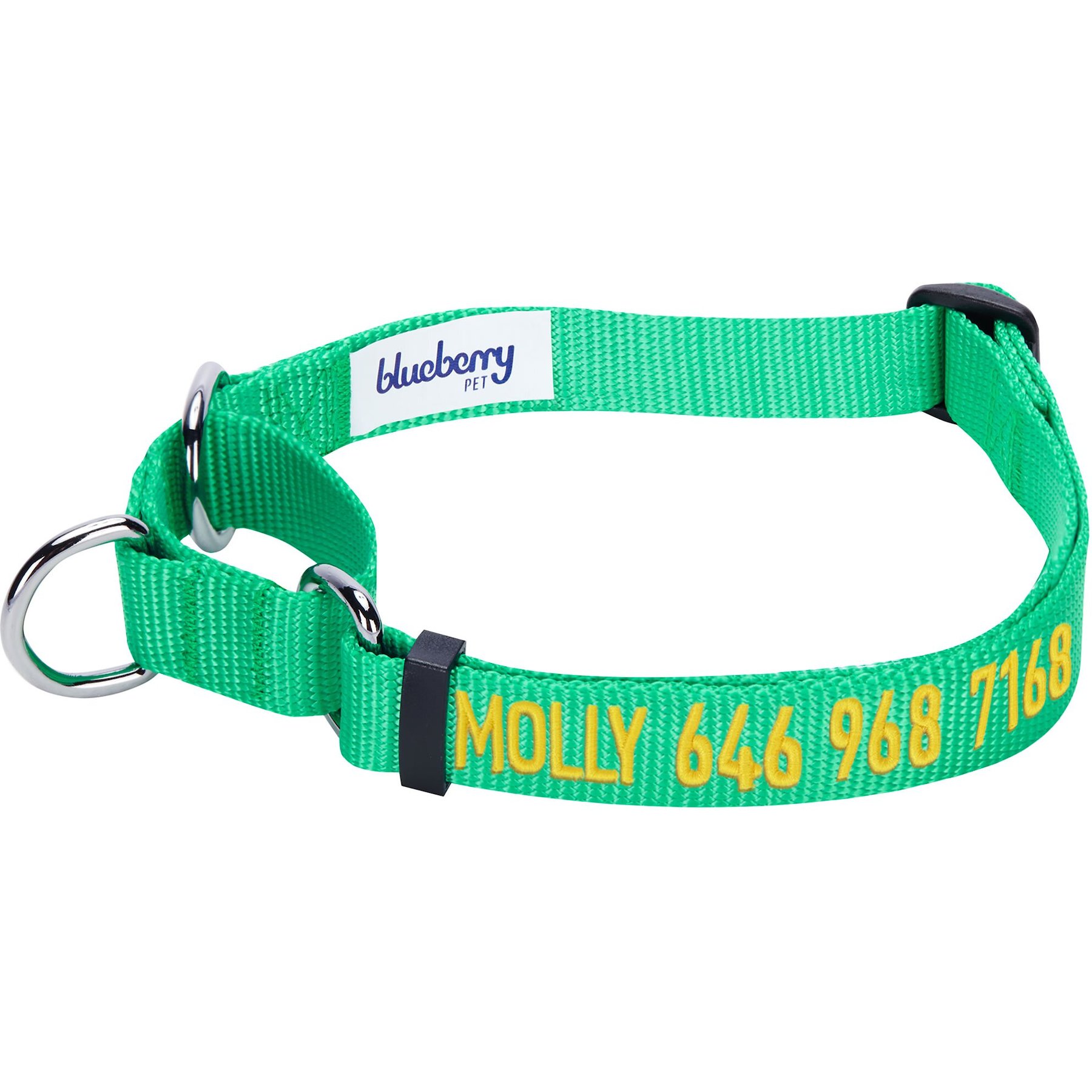 Blueberry Pet Safety Training Personalized Martingale Dog Collar, Emerald, Small: 12 to 16-in neck, 5/8-in wide