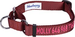 Blueberry Pet Safety Training Personalized Martingale Dog Collar, Fired Brick, Large: 18 to 26-in neck, 1-in wide