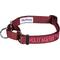 Show in main carousel: Blueberry Pet Safety Training Personalized Martingale Dog Collar, Fired Brick, Large: 18 to 26-in neck, 1-in wide slide 1 of 6