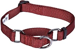 Blueberry Pet Safety Training Personalized Martingale Dog Collar, Fired Brick, Large: 18 to 26-in neck, 1-in wide slide 2 of 5