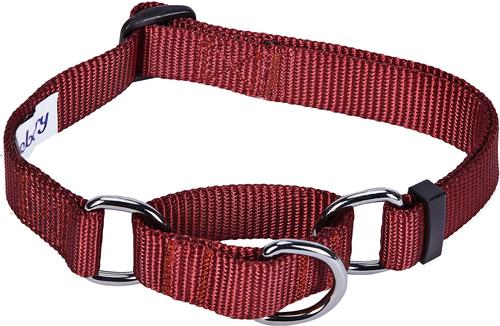 Show full view: Blueberry Pet Safety Training Personalized Martingale Dog Collar, Fired Brick, Large: 18 to 26-in neck, 1-in wide slide 2 of 6