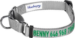 Blueberry Pet Safety Training Personalized Martingale Dog Collar, Flint Gray, Large: 18 to 26-in neck, 1-in wide