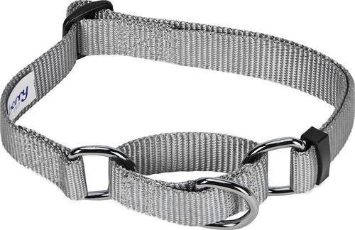 Show full view: Blueberry Pet Safety Training Personalized Martingale Dog Collar, Flint Gray, Large: 18 to 26-in neck, 1-in wide slide 3 of 7