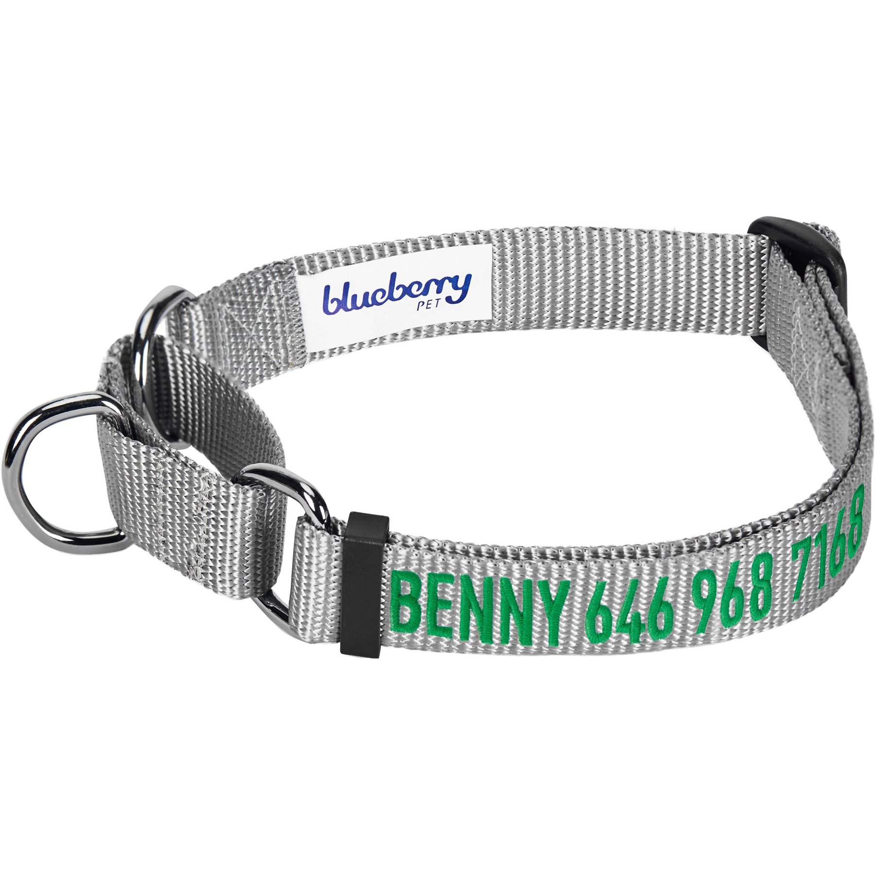 Blueberry Pet Safety Training Personalized Martingale Dog Collar, Flint Gray, Small: 12 to 16-in neck, 5/8-in wide