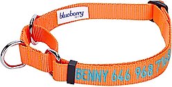 Blueberry Pet Safety Training Personalized Martingale Dog Collar, Florence Orange, Large: 18 to 26-in neck, 1-in wide
