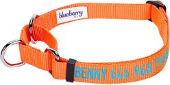 Blueberry Pet Safety Training Personalized Martingale Dog Collar, Florence Orange, Small: 12 to 16-in neck, 5/8-in wide