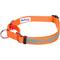 Show in main carousel: Blueberry Pet Safety Training Personalized Martingale Dog Collar, Florence Orange, Small: 12 to 16-in neck, 5/8-in wide slide 1 of 6