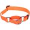 Show in main carousel: Blueberry Pet Safety Training Personalized Martingale Dog Collar, Florence Orange, Small: 12 to 16-in neck, 5/8-in wide slide 2 of 6