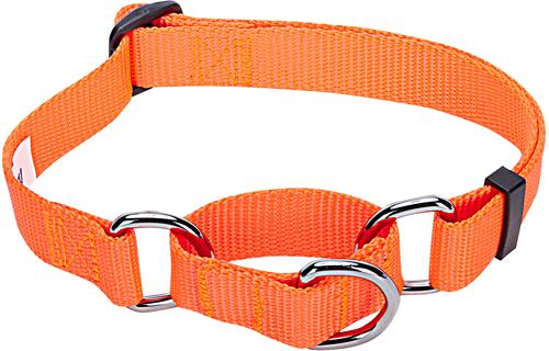 Show full view: Blueberry Pet Safety Training Personalized Martingale Dog Collar, Florence Orange, Small: 12 to 16-in neck, 5/8-in wide slide 2 of 6