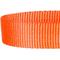 Show in main carousel: Blueberry Pet Safety Training Personalized Martingale Dog Collar, Florence Orange, Small: 12 to 16-in neck, 5/8-in wide slide 3 of 6