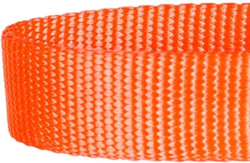 Show full view: Blueberry Pet Safety Training Personalized Martingale Dog Collar, Florence Orange, Small: 12 to 16-in neck, 5/8-in wide slide 3 of 6