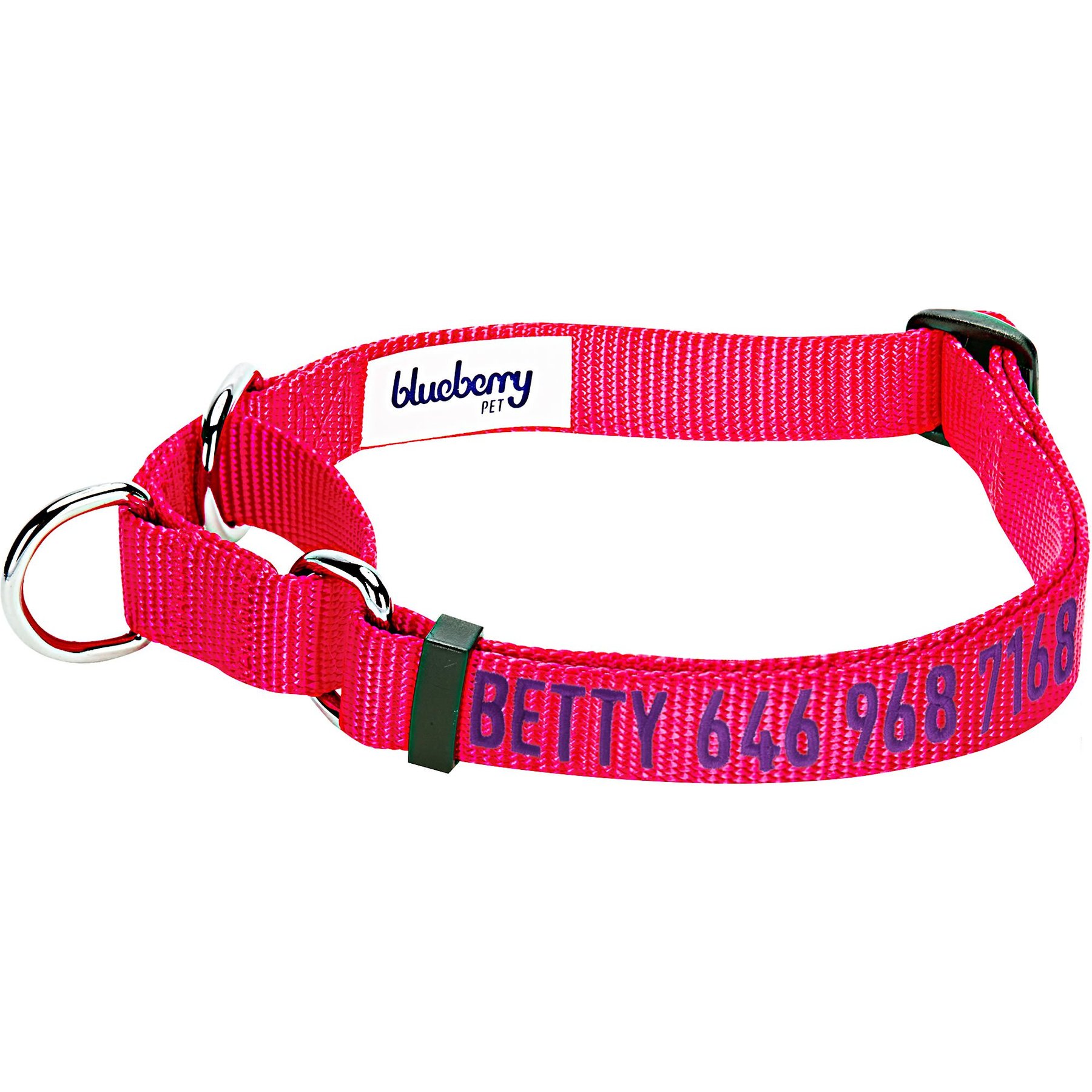 Blueberry Pet Safety Training Personalized Martingale Dog Collar, French Pink, Large: 18 to 26-in neck, 1-in wide