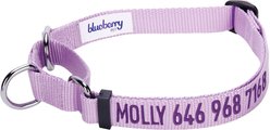 Blueberry Pet Safety Training Personalized Martingale Dog Collar, Lavender, Small: 12 to 16-in neck, 5/8-in wide slide 1 of 5