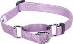 Blueberry Pet Safety Training Personalized Martingale Dog Collar, Lavender, Small: 12 to 16-in neck, 5/8-in wide slide 2 of 5