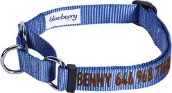 Blueberry Pet Safety Training Personalized Martingale Dog Collar, Marina Blue, Small: 12 to 16-in neck, 5/8-in wide