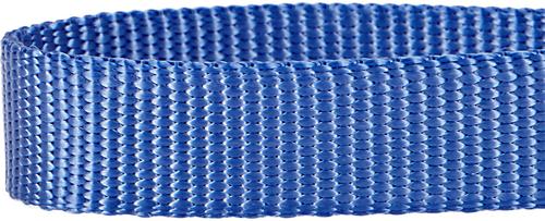 Show full view: Blueberry Pet Safety Training Personalized Martingale Dog Collar, Marina Blue, Small: 12 to 16-in neck, 5/8-in wide slide 3 of 6