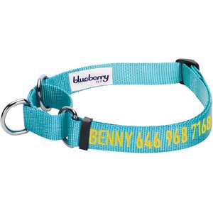 Blueberry Pet Safety Training Personalized Martingale Dog Collar, Medium Turquoise, Small: 12 to 16-in neck, 5/8-in wide