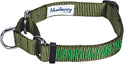 Blueberry Pet Safety Training Personalized Martingale Dog Collar, Military Green, Large: 18 to 26-in neck, 1-in wide