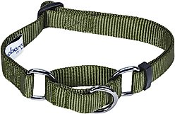 Blueberry Pet Safety Training Personalized Martingale Dog Collar, Military Green, Large: 18 to 26-in neck, 1-in wide slide 2 of 5