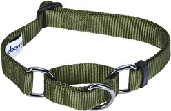 Blueberry Pet Safety Training Personalized Martingale Dog Collar, Military Green, Small: 12 to 16-in neck, 5/8-in wide slide 2 of 5