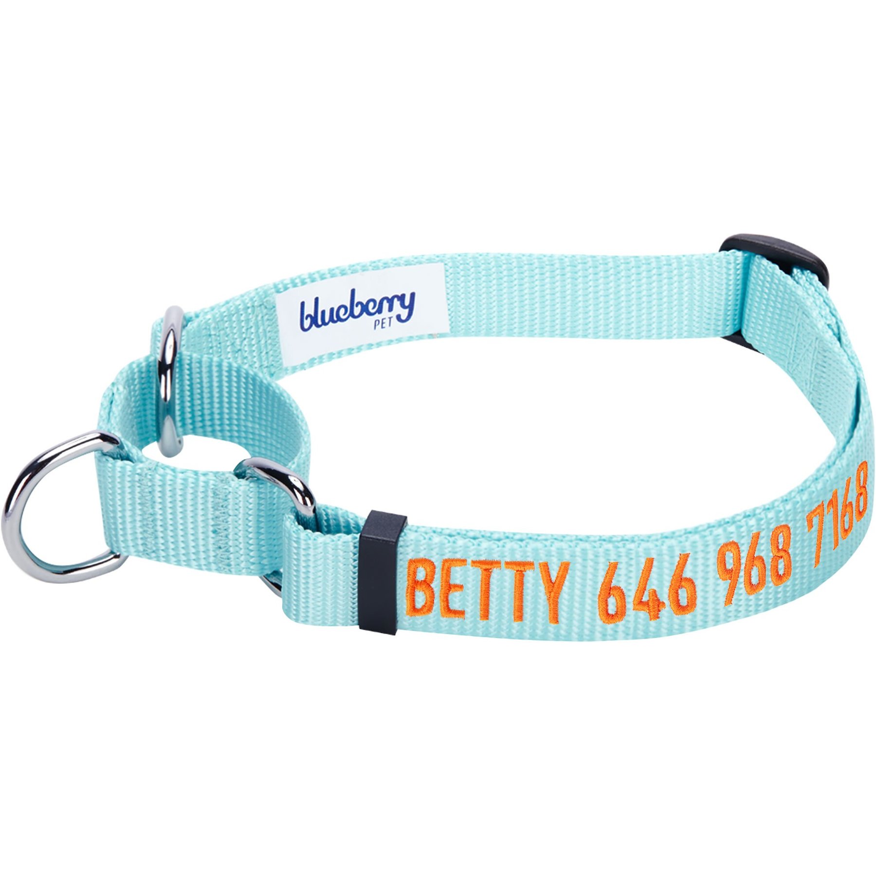 Blueberry Pet Safety Training Personalized Martingale Dog Collar, Mint Blue, Small: 12 to 16-in neck, 5/8-in wide