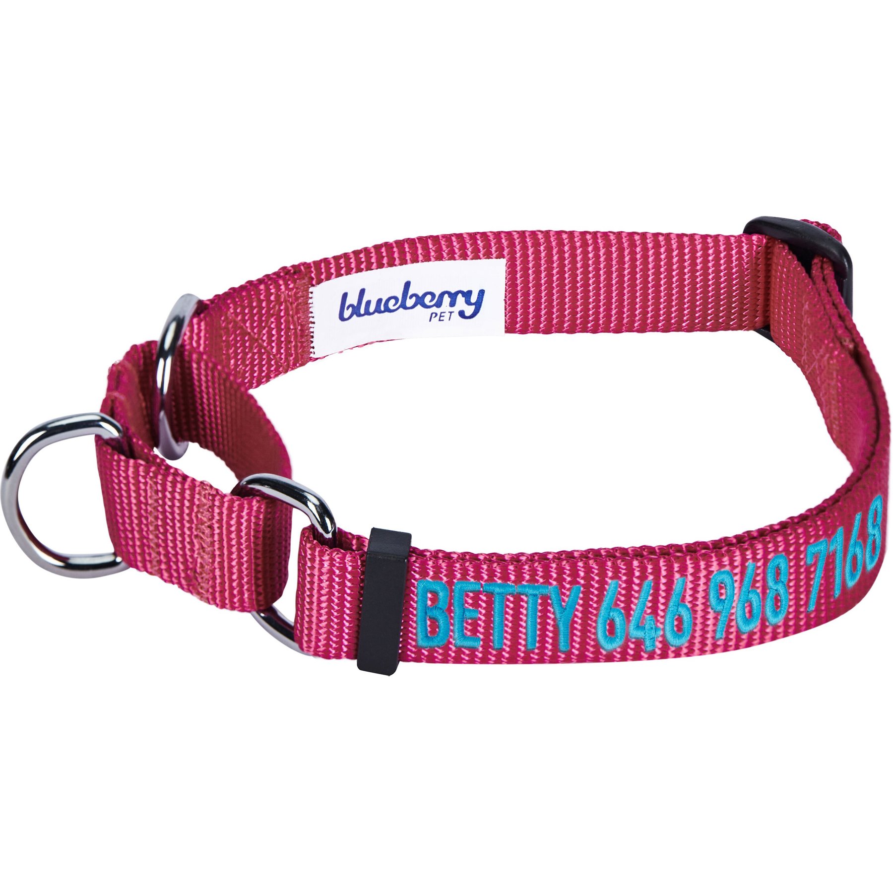 Blueberry Pet Safety Training Personalized Martingale Dog Collar, Very Berry, Medium: 14.5 to 20-in neck 3/4-in wide