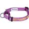 Show in main carousel: Blueberry Pet Safety Training Personalized Martingale Dog Collar, Violet, Large: 18 to 26-in neck, 1-in wide slide 1 of 7