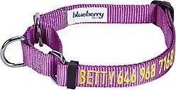 Blueberry Pet Safety Training Personalized Martingale Dog Collar, Violet, Medium: 14.5 to 20-in neck 3/4-in wide