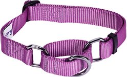 Blueberry Pet Safety Training Personalized Martingale Dog Collar, Violet, Small: 12 to 16-in neck, 5/8-in wide slide 2 of 5