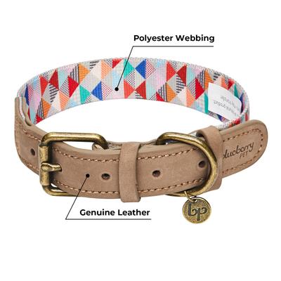 Show full view: Blueberry Pet Shades of Rainbow Triangles Polyester Fabric Webbing & Soft Genuine Leather Dog Collar, Multicolor, Large: 18 to 22-in neck, 1-in wide slide 4 of 6